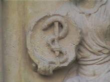 Thrysos in bowl, Notre Dame, Paris