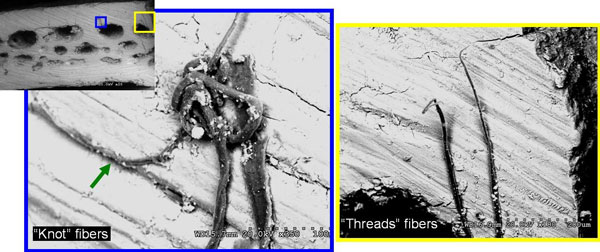 Fibers