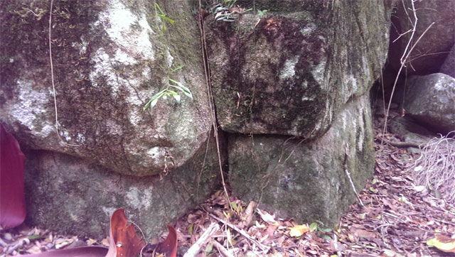 The Ancient Stone Arrangements from