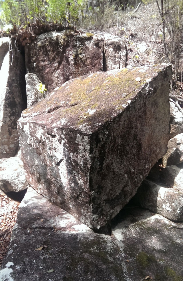 The Ancient Stone Arrangements from