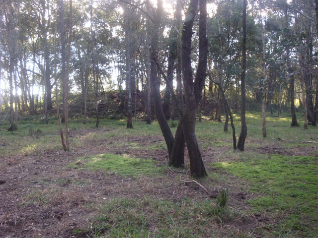 Australia's Stonehenge Mound