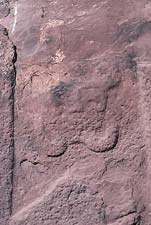 Views of a second representation of a face at Tiahuanaco showing exuberant mustachios or beard (There is a monochrome image in Fingerprints.)