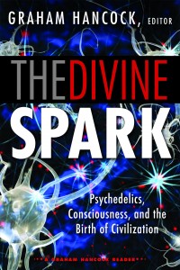 The Divine Spark